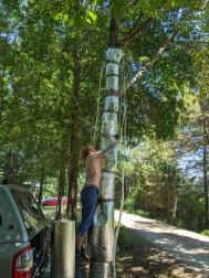 PXL_20210618_184532362